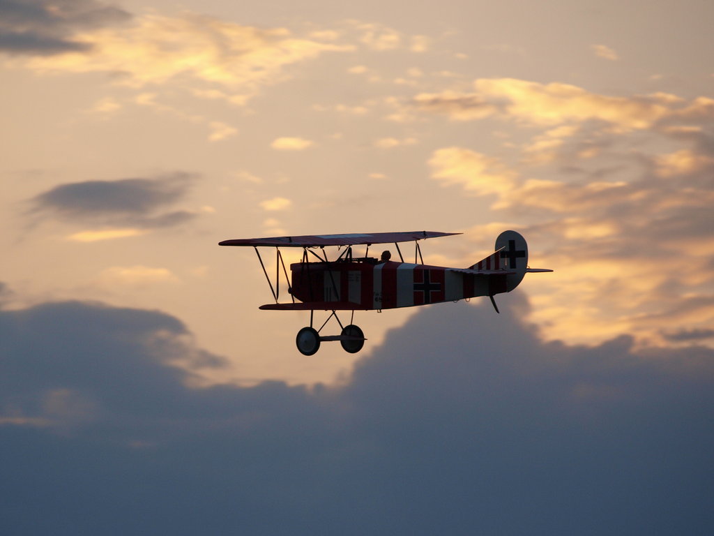 Fokker DVII Gero201211