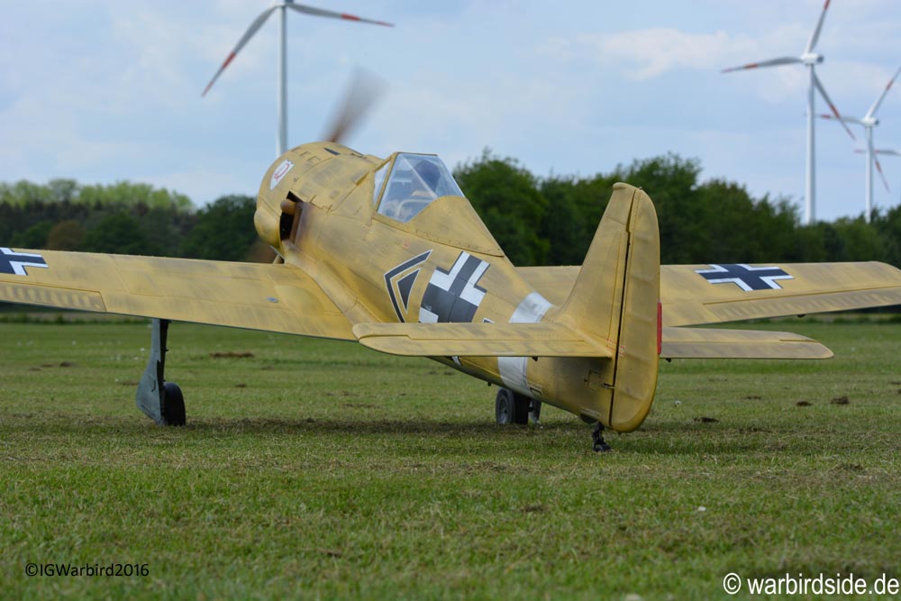 Fw190 StephanRibbers2