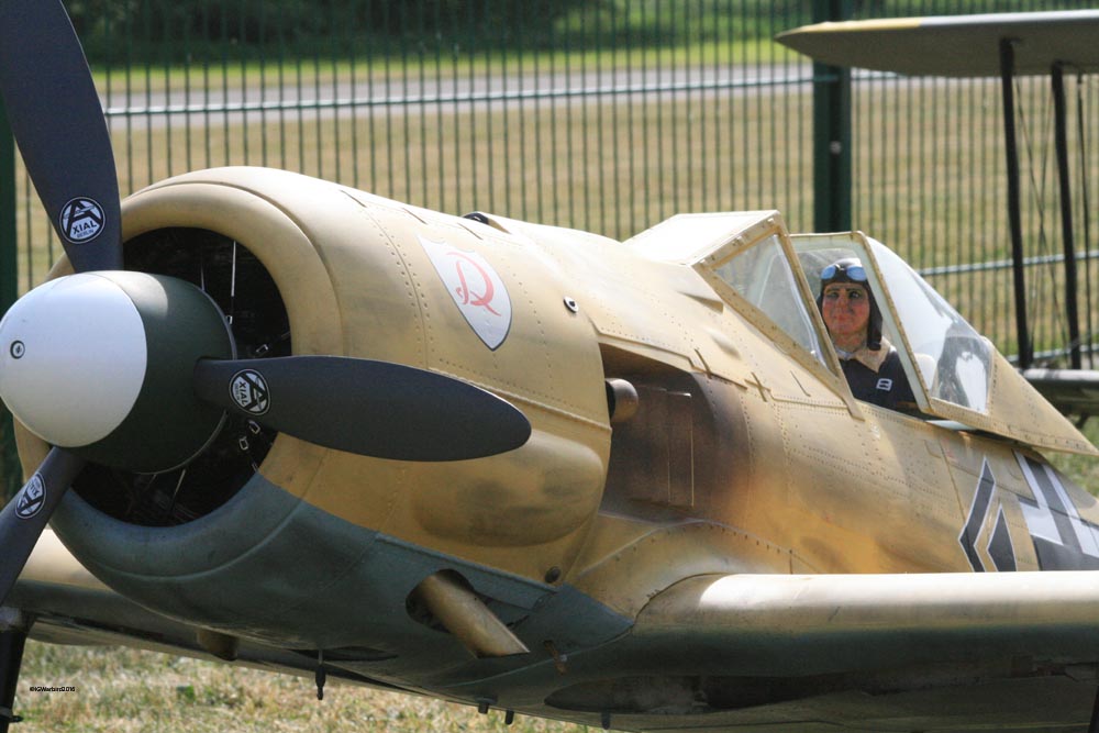 Fw190 StephanRibbers5